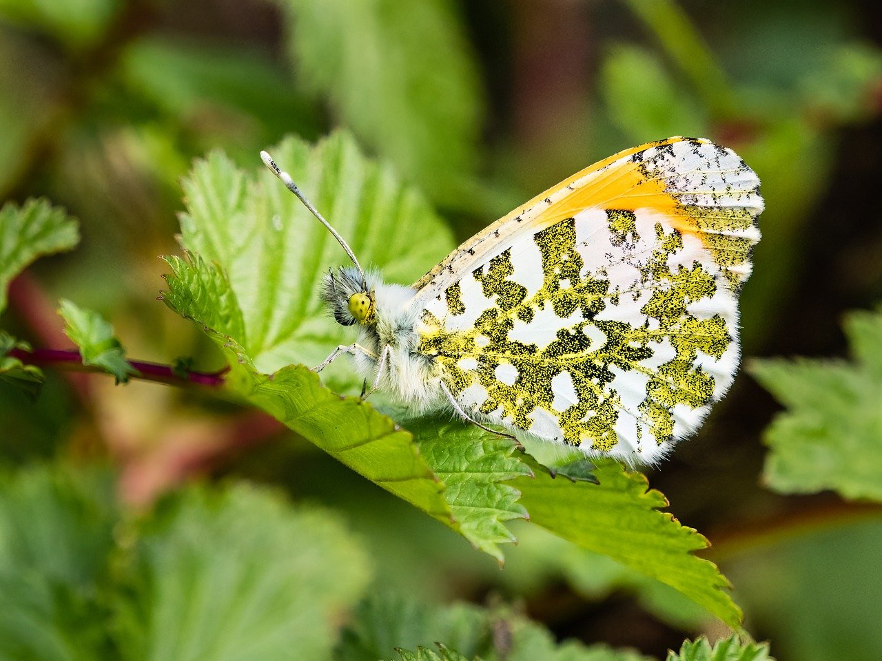 selbstständigkeit tipps für einen erfolgreichen start